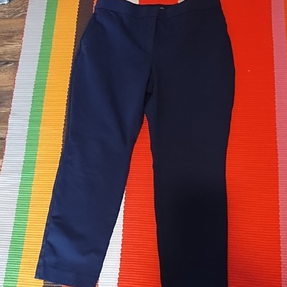 VGC Banana Republic Deep Blue Trousers Size 10 Ankle Length.